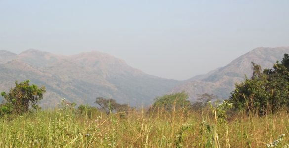 Mountain Landscape