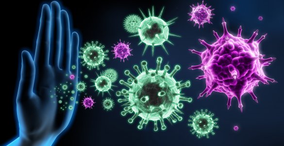 Immunabwehr