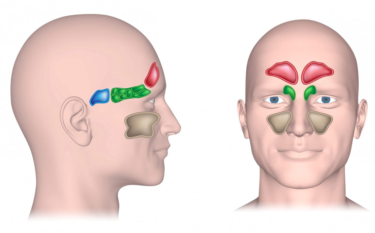 Chronische Rhinosinusitis, Nasenpolypen und Zusammenhang mit Asthma Altersbezogene Prävalenz
