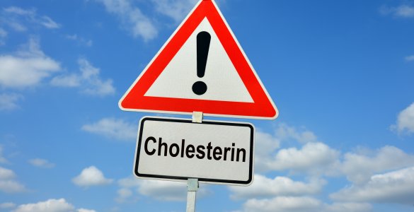Cholesterin