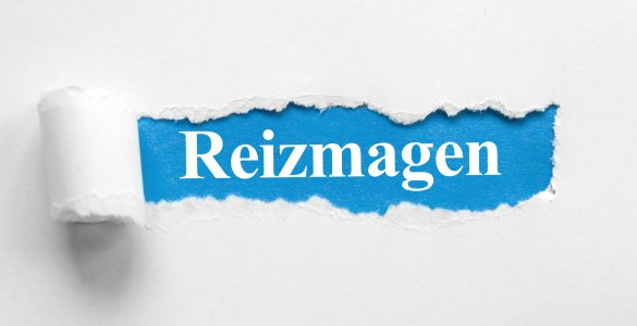 Reizmagen