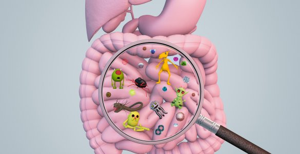 Darmmikrobiom