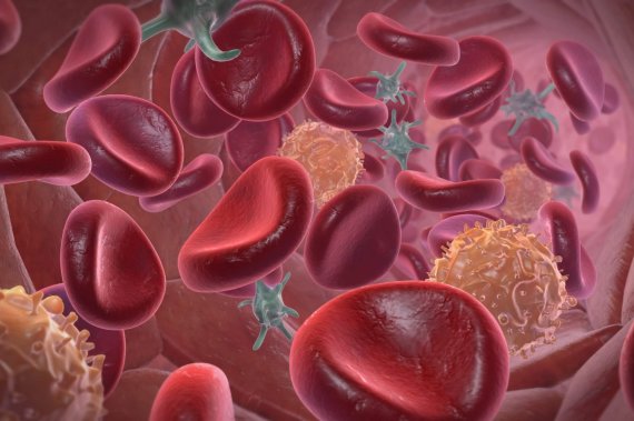 COVID19assoziierte Koagulopathie und Antithrombotika Kompakt