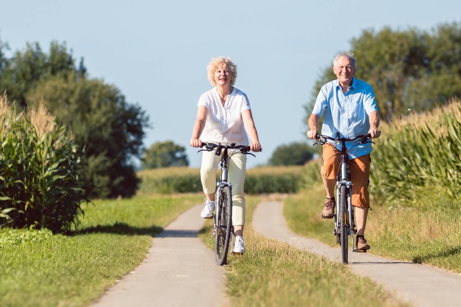 © LIGHTFIELD STUDIOS - stock.adobe.com (Symbolbild)